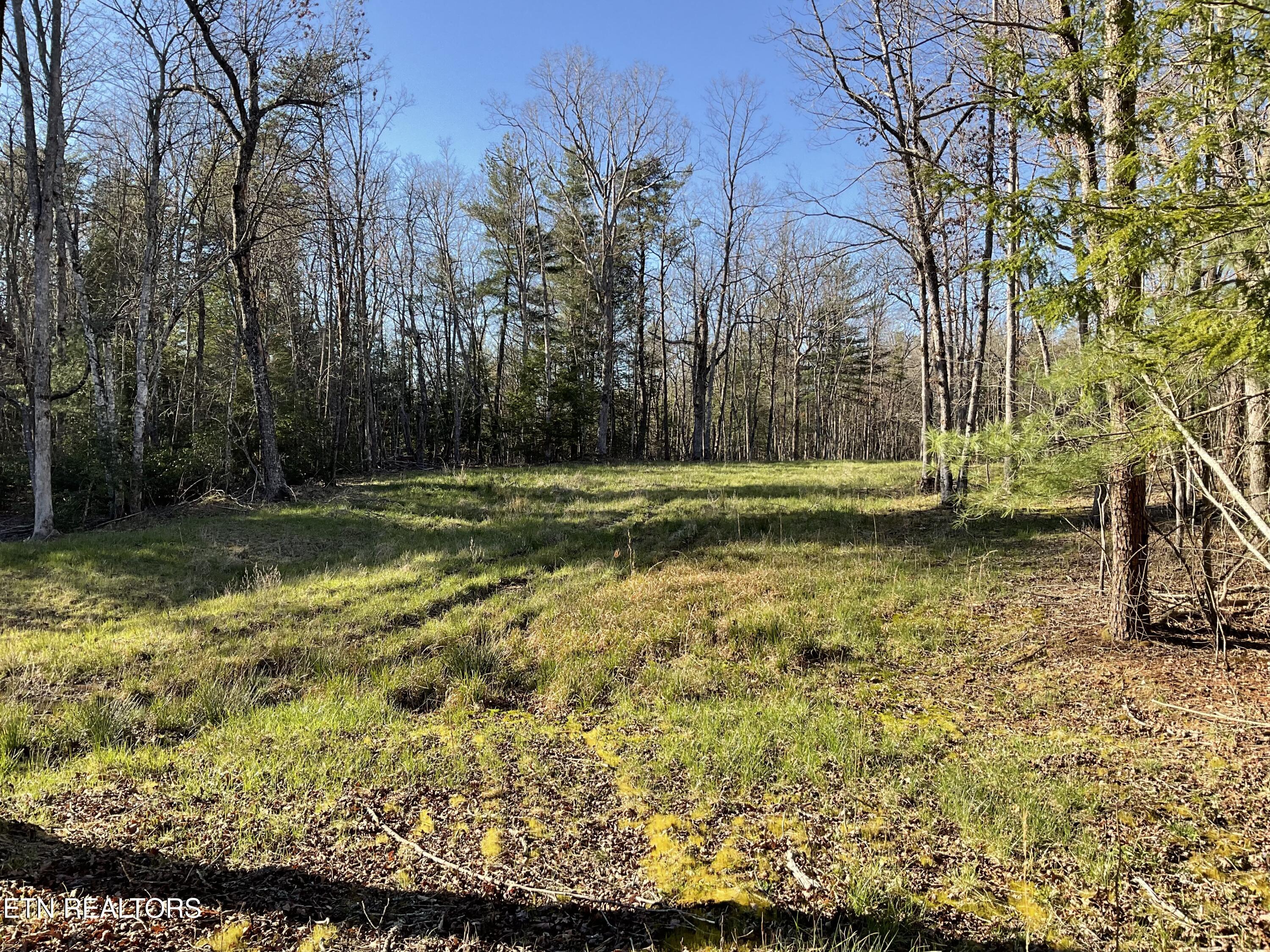 Tract 2 Pine Breeze Drive Monterey TN 38574
