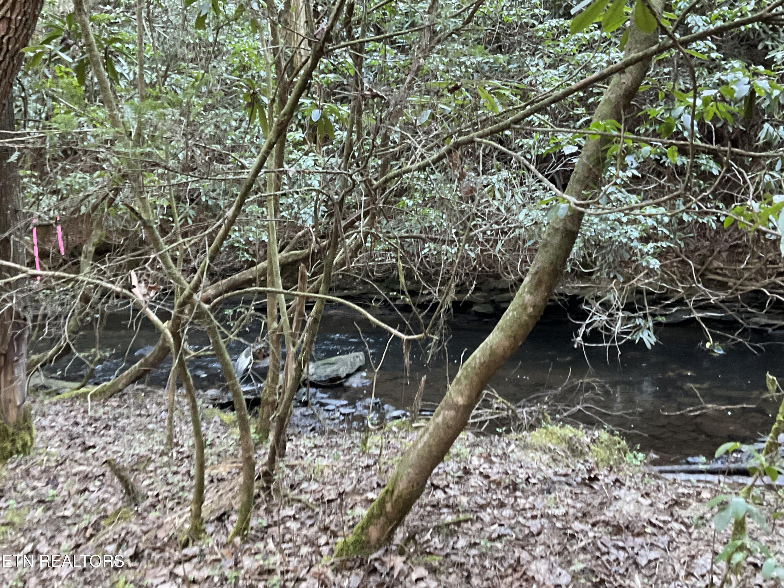 Tract 2 Pine Breeze Drive Monterey TN 38574