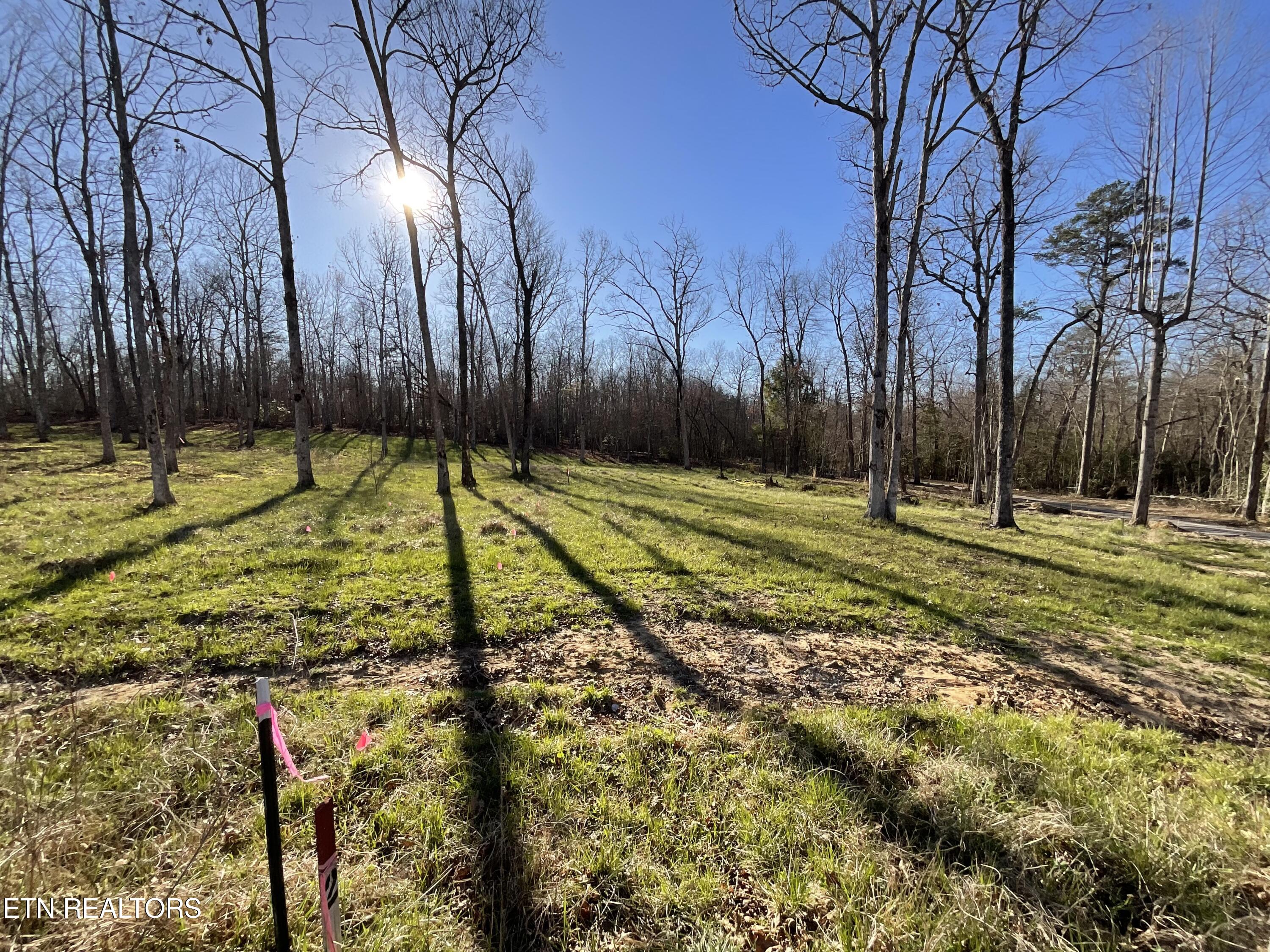 Tract 2 Pine Breeze Drive Monterey TN 38574
