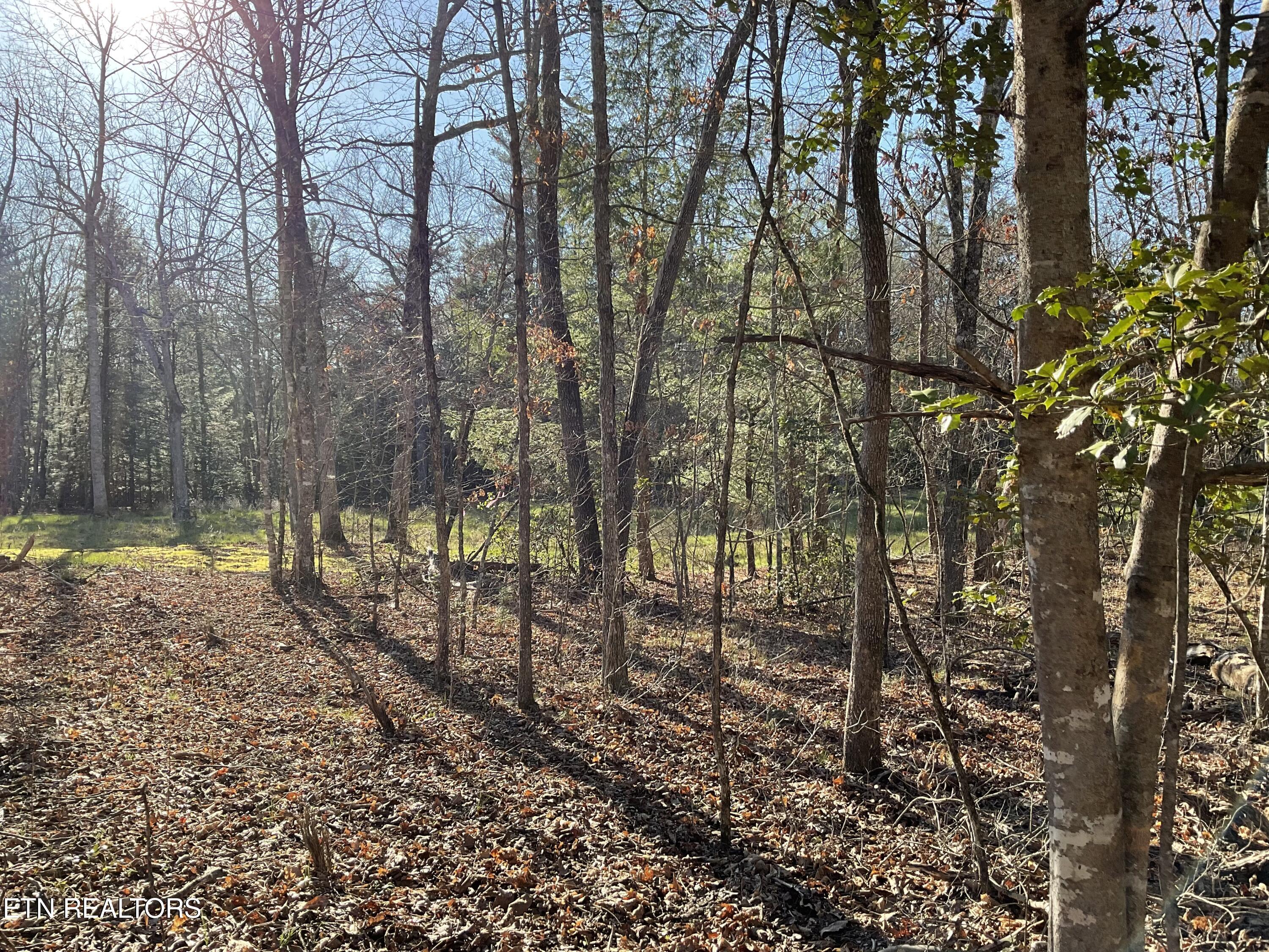 Tract 2 Pine Breeze Drive Monterey TN 38574