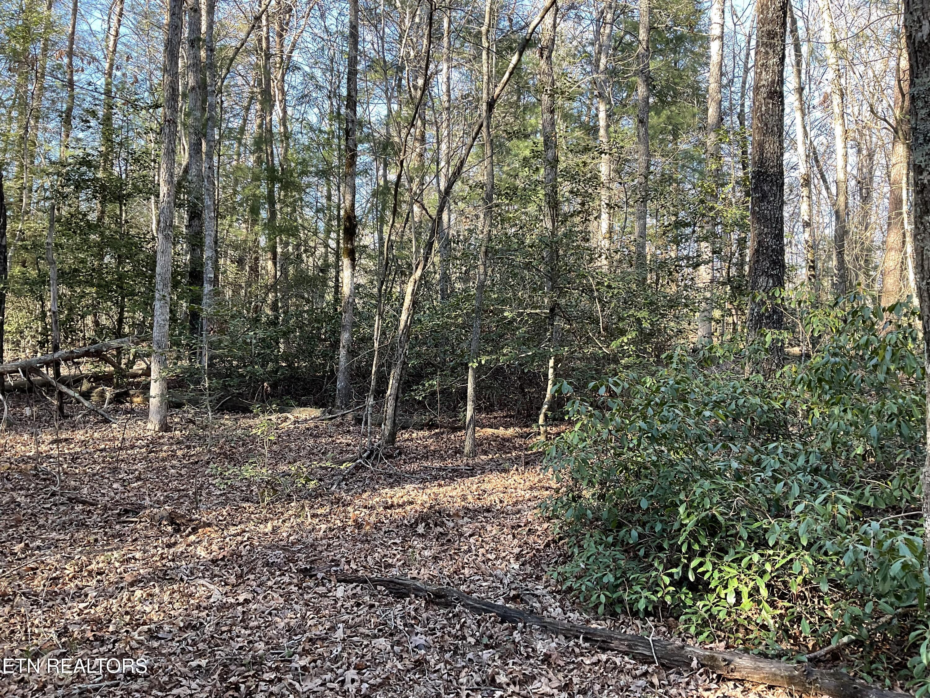 Tract 2 Pine Breeze Drive Monterey TN 38574