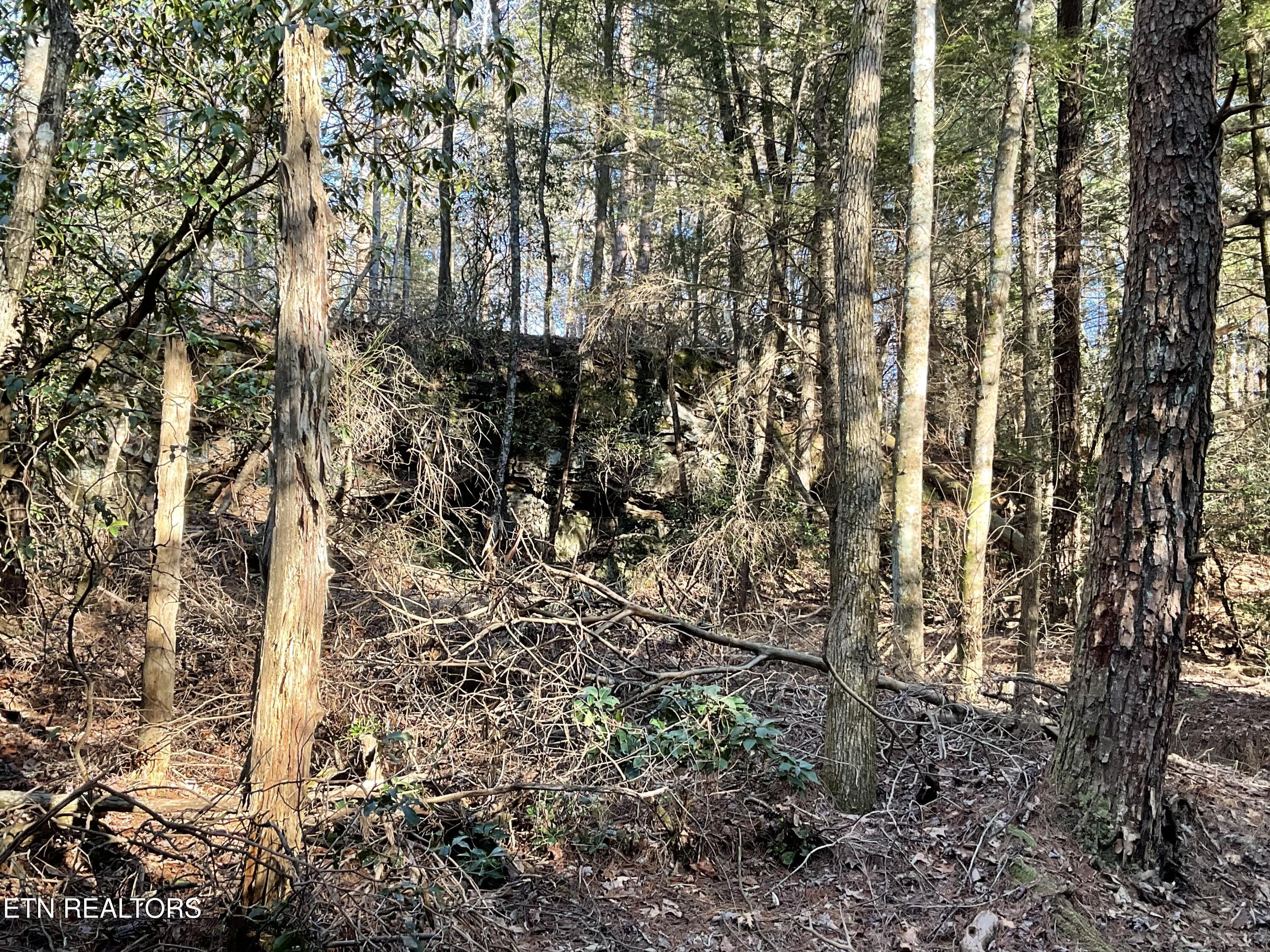 Tract 2 Pine Breeze Drive Monterey TN 38574