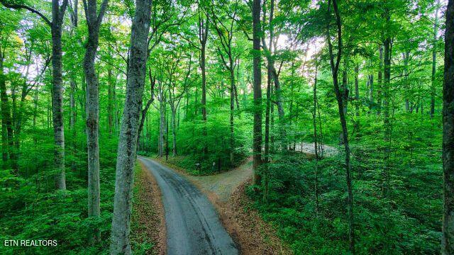 148 Beech Grove Loop Sharps Chapel TN 37866