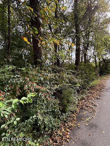 Lot 2 Roberts Road Kodak TN 37764
