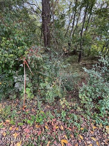 Lot 2 Roberts Road Kodak TN 37764