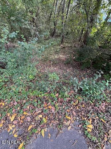 Lot 2 Roberts Road Kodak TN 37764