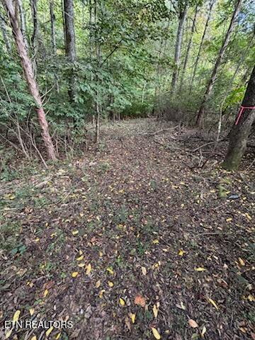 Lot 2 Roberts Road Kodak TN 37764