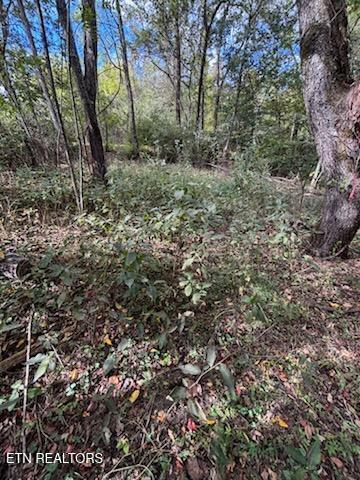 Lot 2 Roberts Road Kodak TN 37764