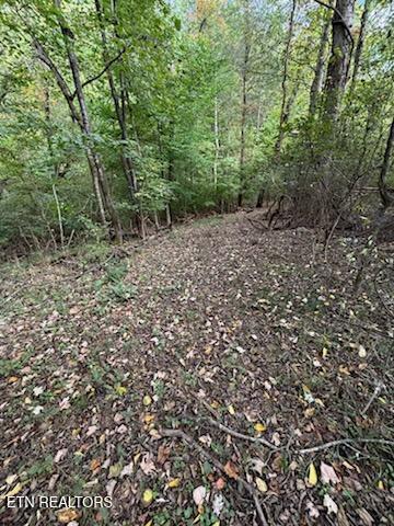 Lot 2 Roberts Road Kodak TN 37764