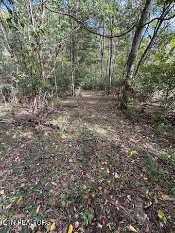 Lot 2 Roberts Road Kodak TN 37764