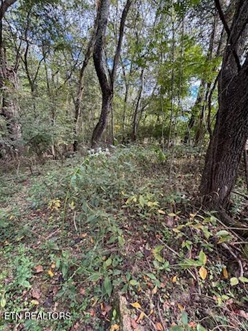 Lot 2 Roberts Road Kodak TN 37764