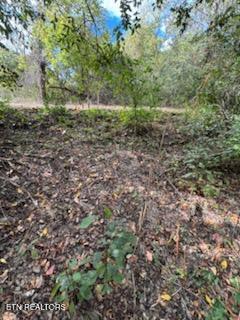 Lot 2 Roberts Road Kodak TN 37764