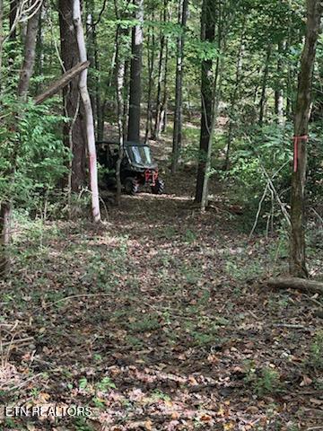 Lot 2 Roberts Road Kodak TN 37764
