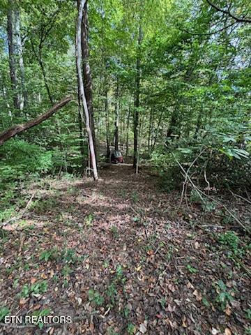 Lot 2 Roberts Road Kodak TN 37764