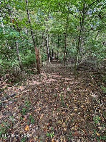 Lot 2 Roberts Road Kodak TN 37764