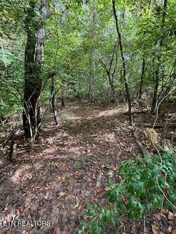 Lot 2 Roberts Road Kodak TN 37764