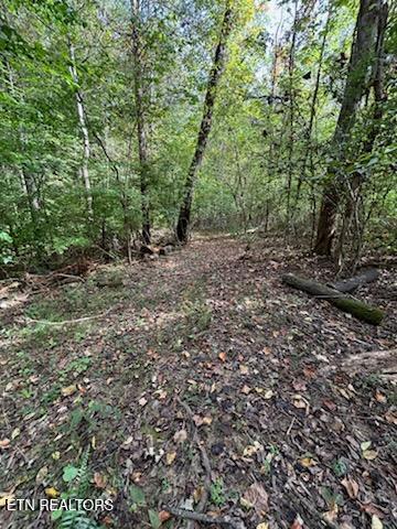 Lot 2 Roberts Road Kodak TN 37764