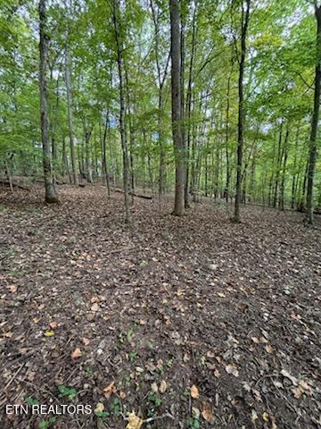 Lot 2 Roberts Road Kodak TN 37764