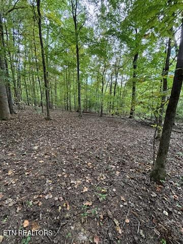 Lot 2 Roberts Road Kodak TN 37764
