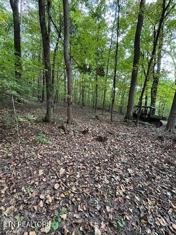 Lot 2 Roberts Road Kodak TN 37764