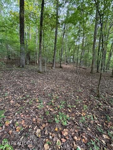 Lot 2 Roberts Road Kodak TN 37764