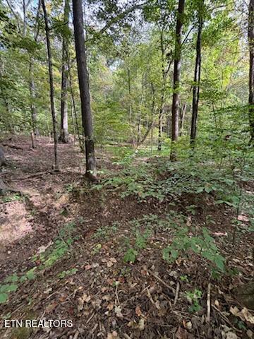 Lot 2 Roberts Road Kodak TN 37764