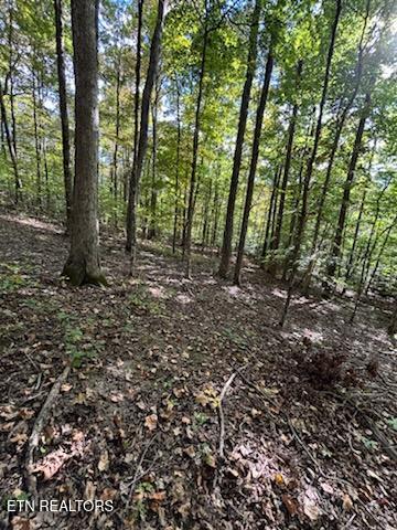 Lot 2 Roberts Road Kodak TN 37764