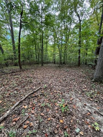 Lot 2 Roberts Road Kodak TN 37764