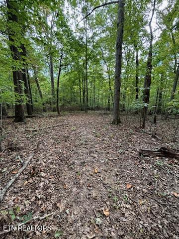 Lot 2 Roberts Road Kodak TN 37764