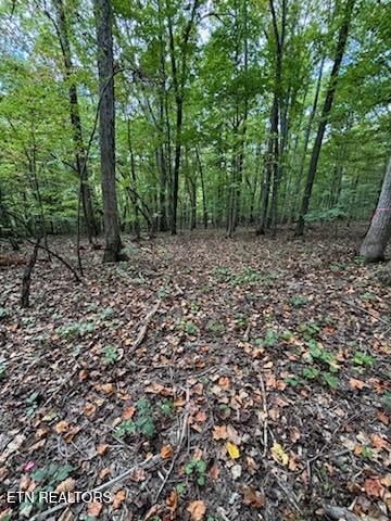 Lot 2 Roberts Road Kodak TN 37764