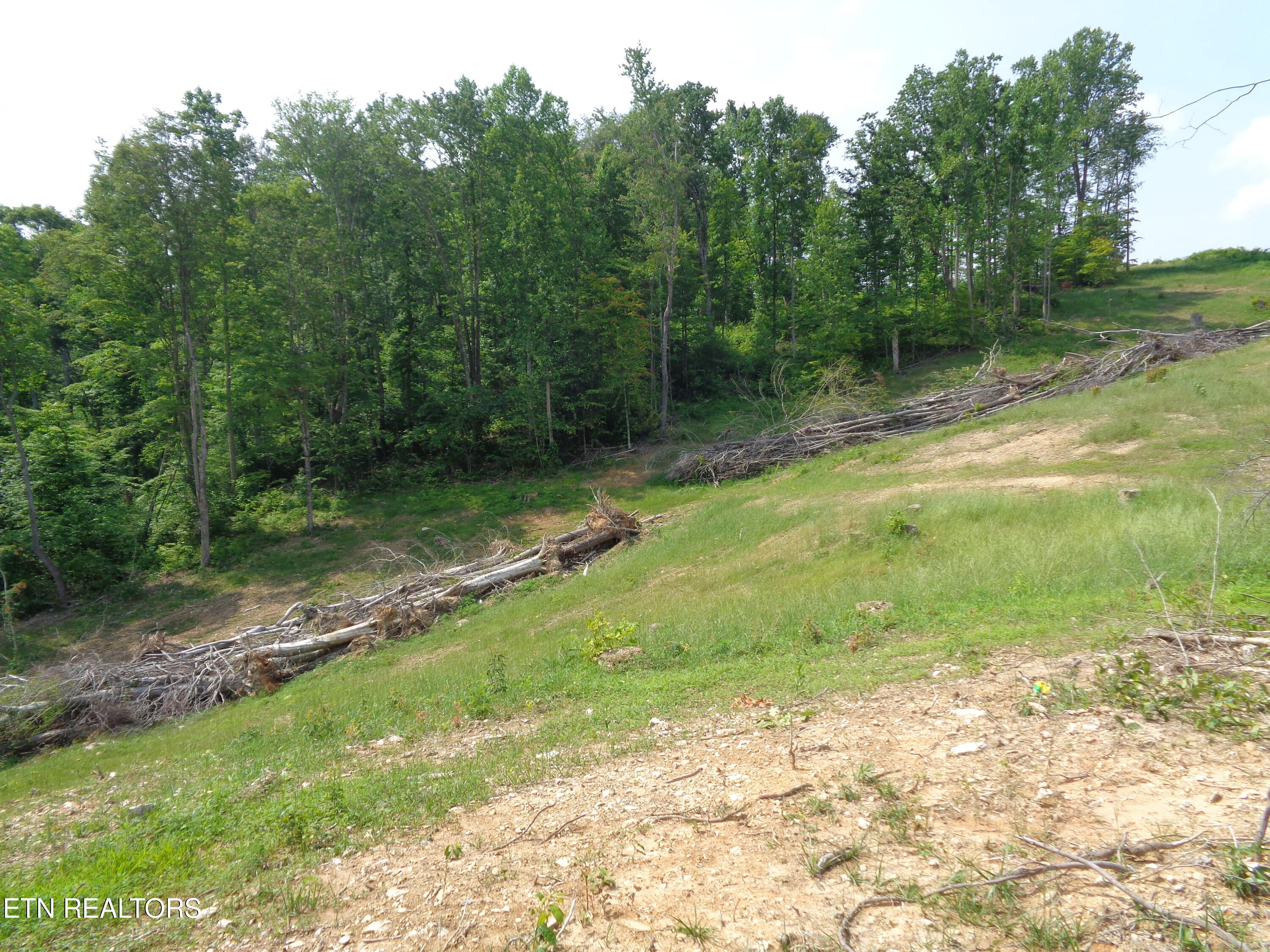 3877 Highway 66 Sneedville TN 37869