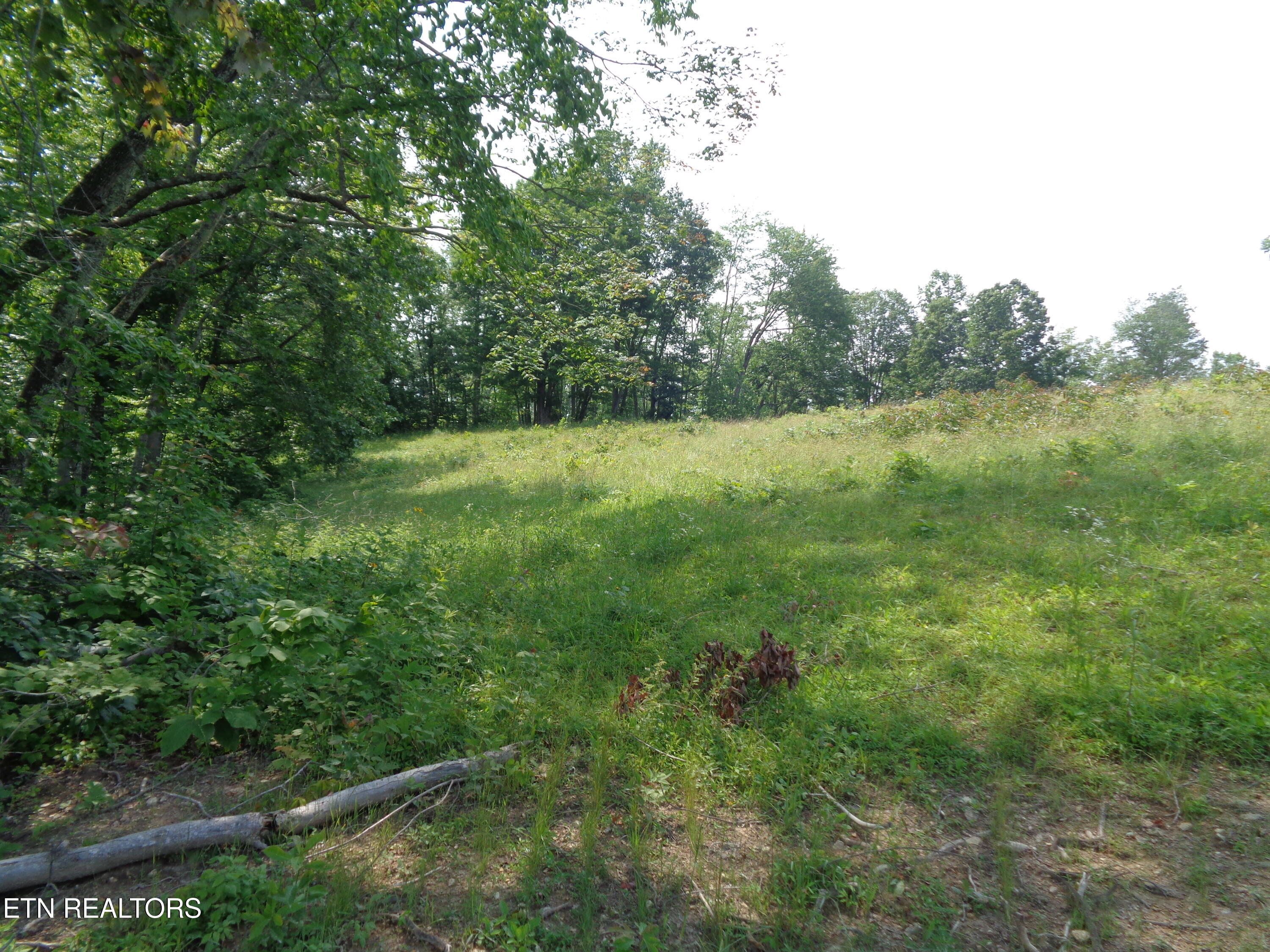 3877 Highway 66 Sneedville TN 37869