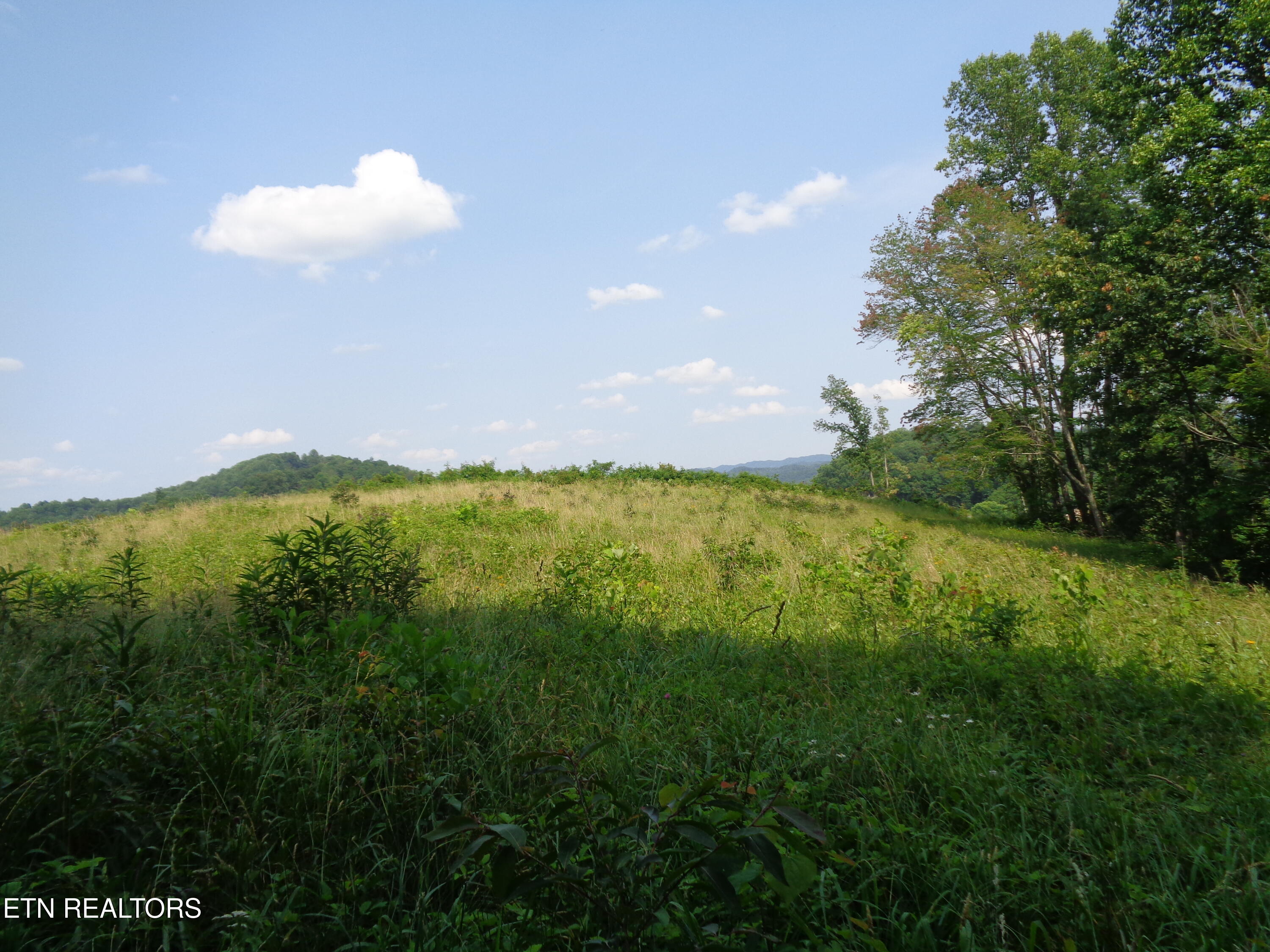 3877 Highway 66 Sneedville TN 37869