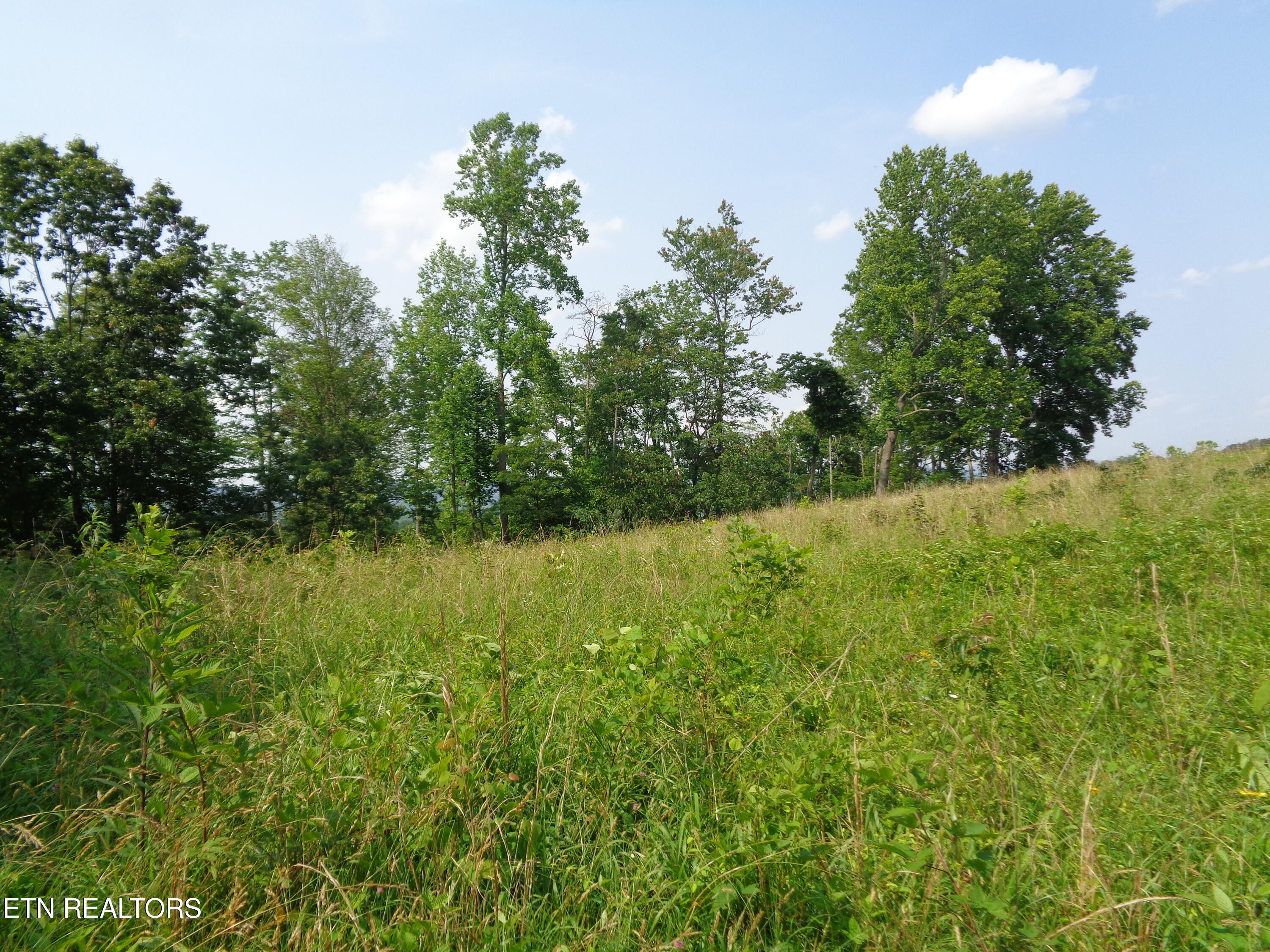 3877 Highway 66 Sneedville TN 37869
