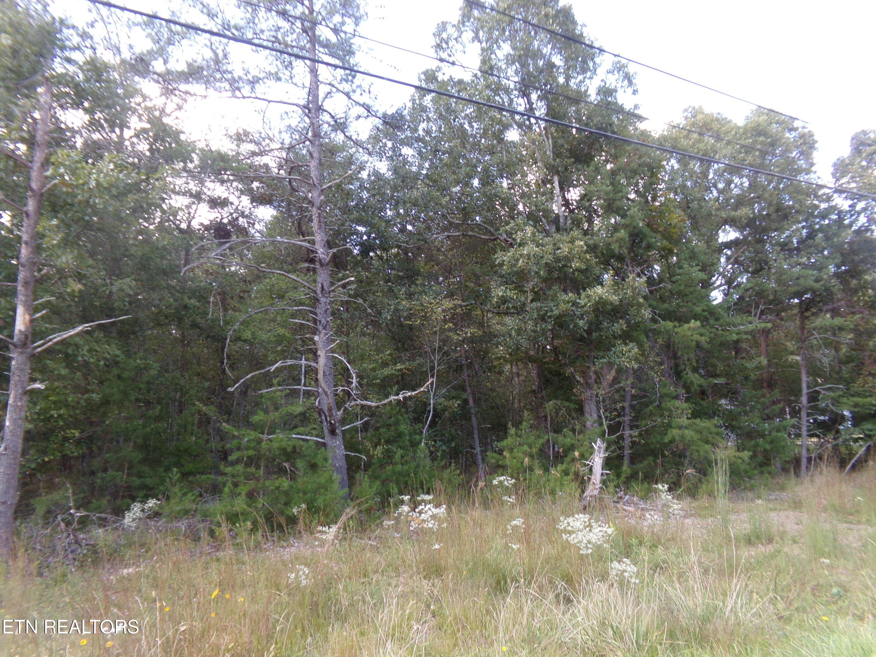 3020 Oswego Road Crossville TN 38572