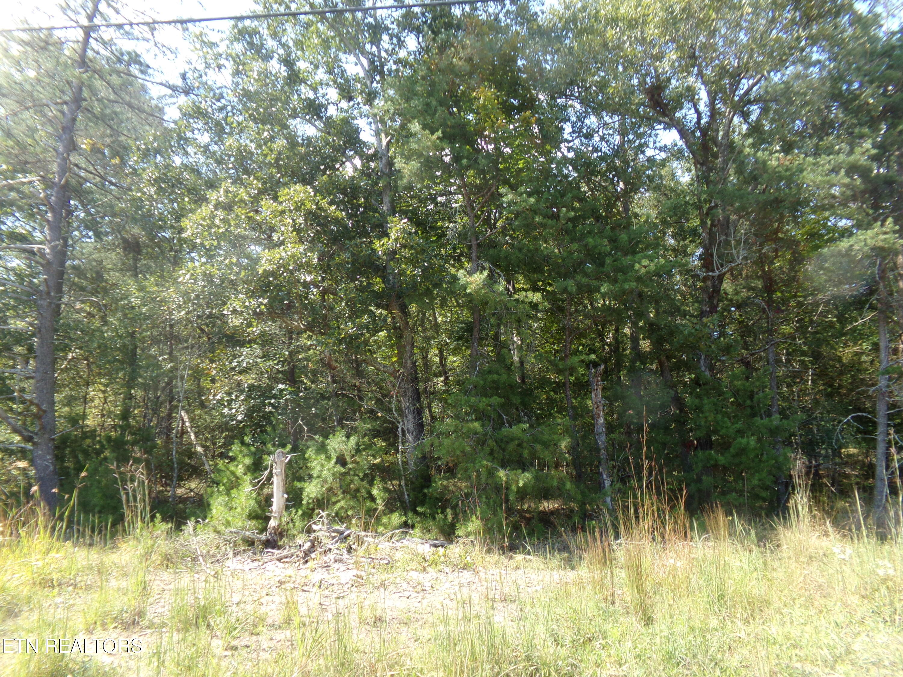 3020 Oswego Road Crossville TN 38572