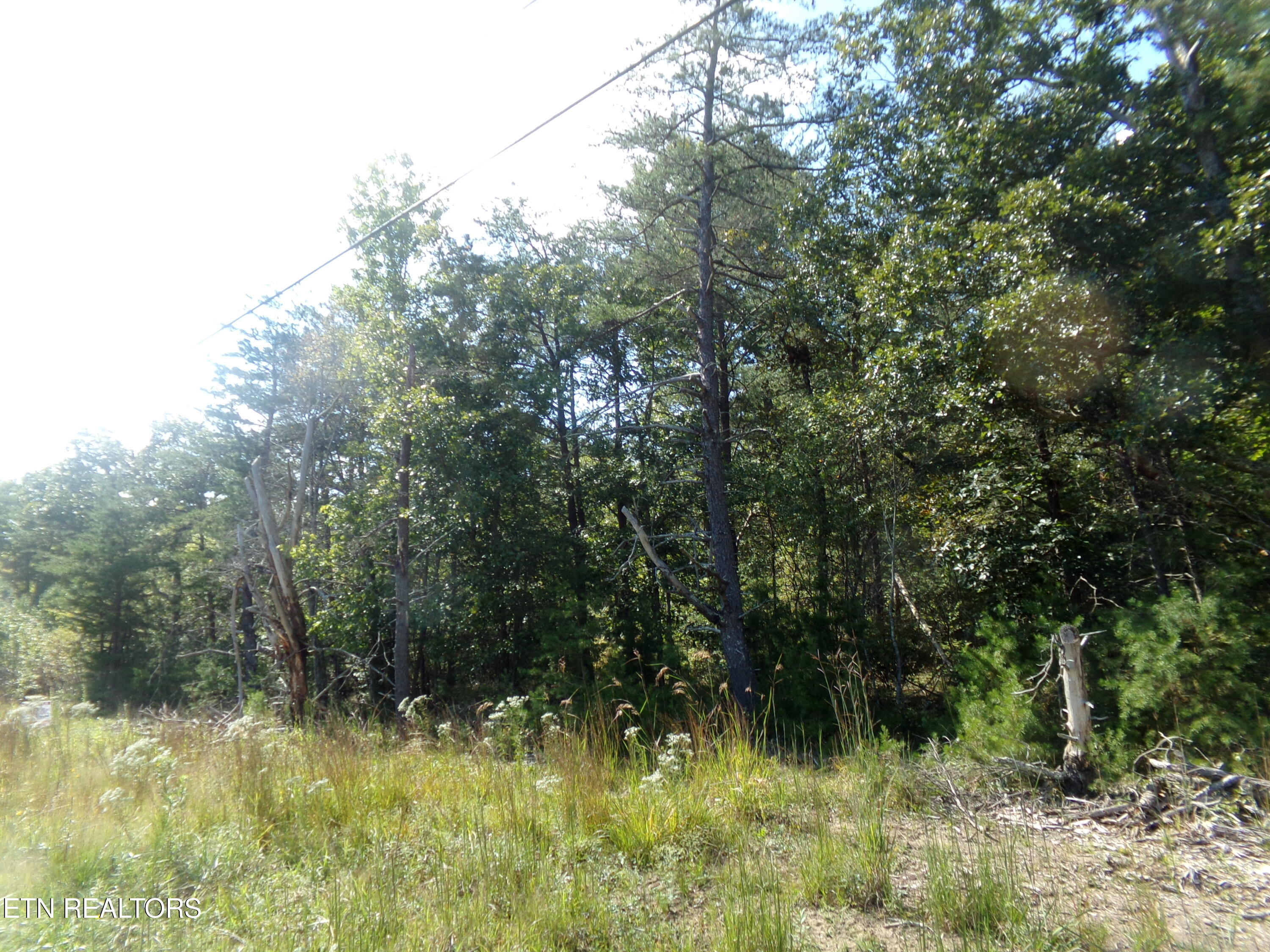 3020 Oswego Road Crossville TN 38572