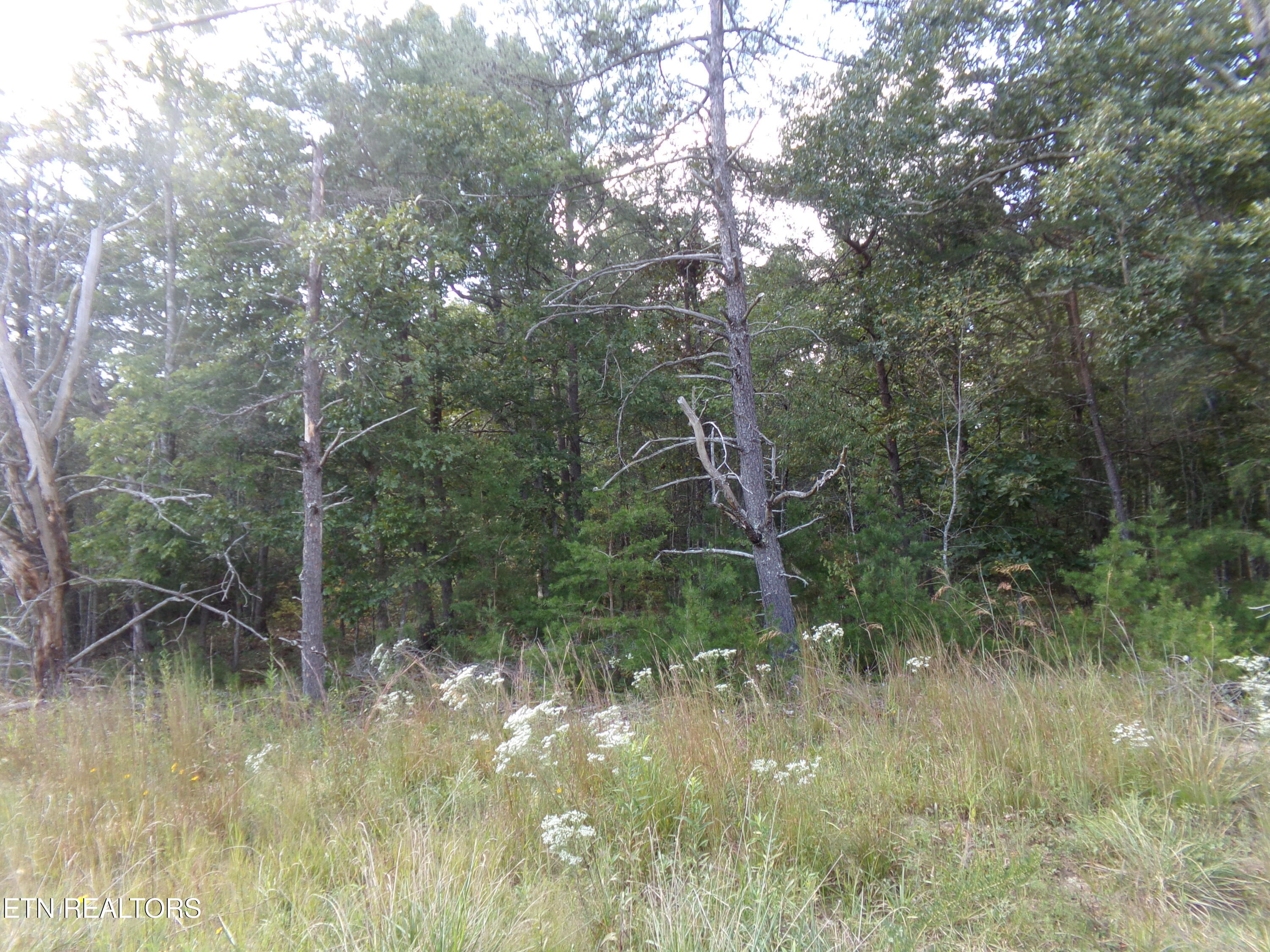 3020 Oswego Road Crossville TN 38572