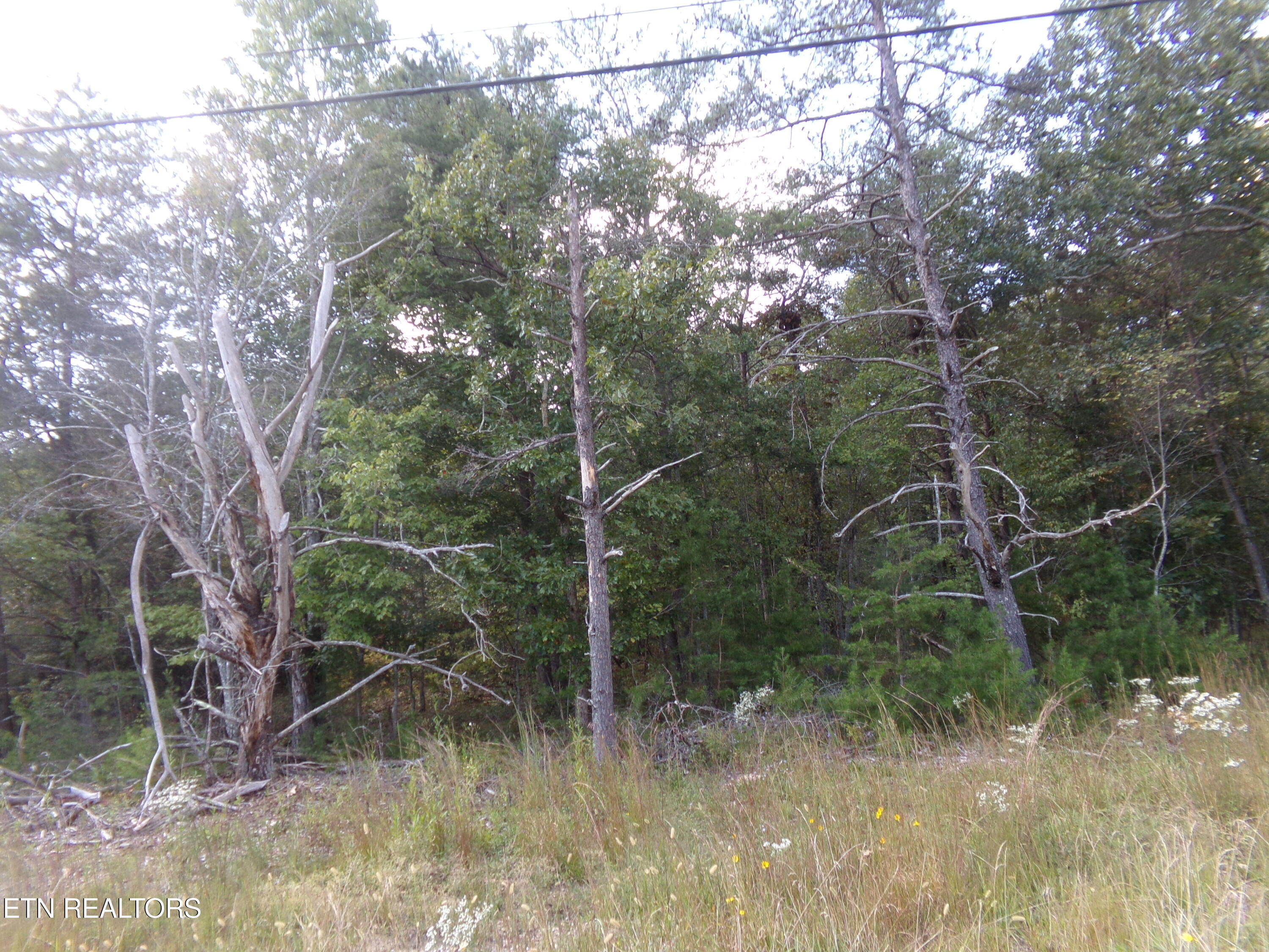 3020 Oswego Road Crossville TN 38572
