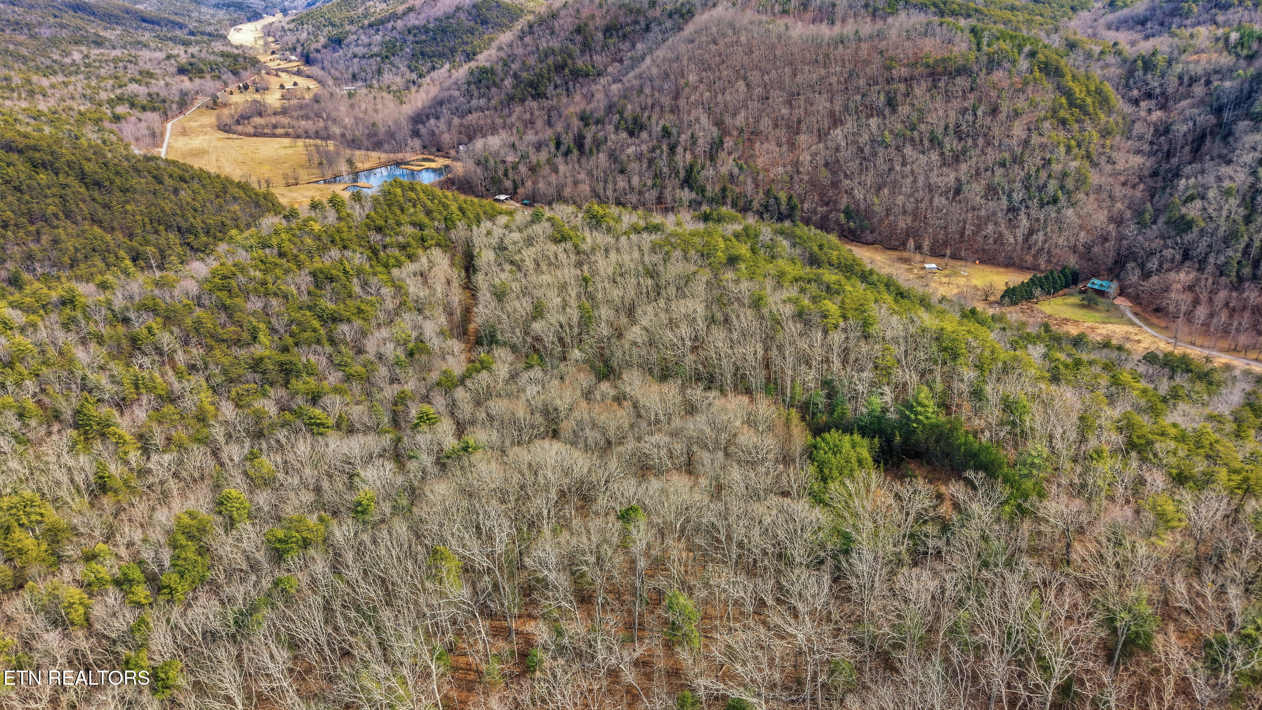 Steer Creek Road Tellico Plains TN 37385