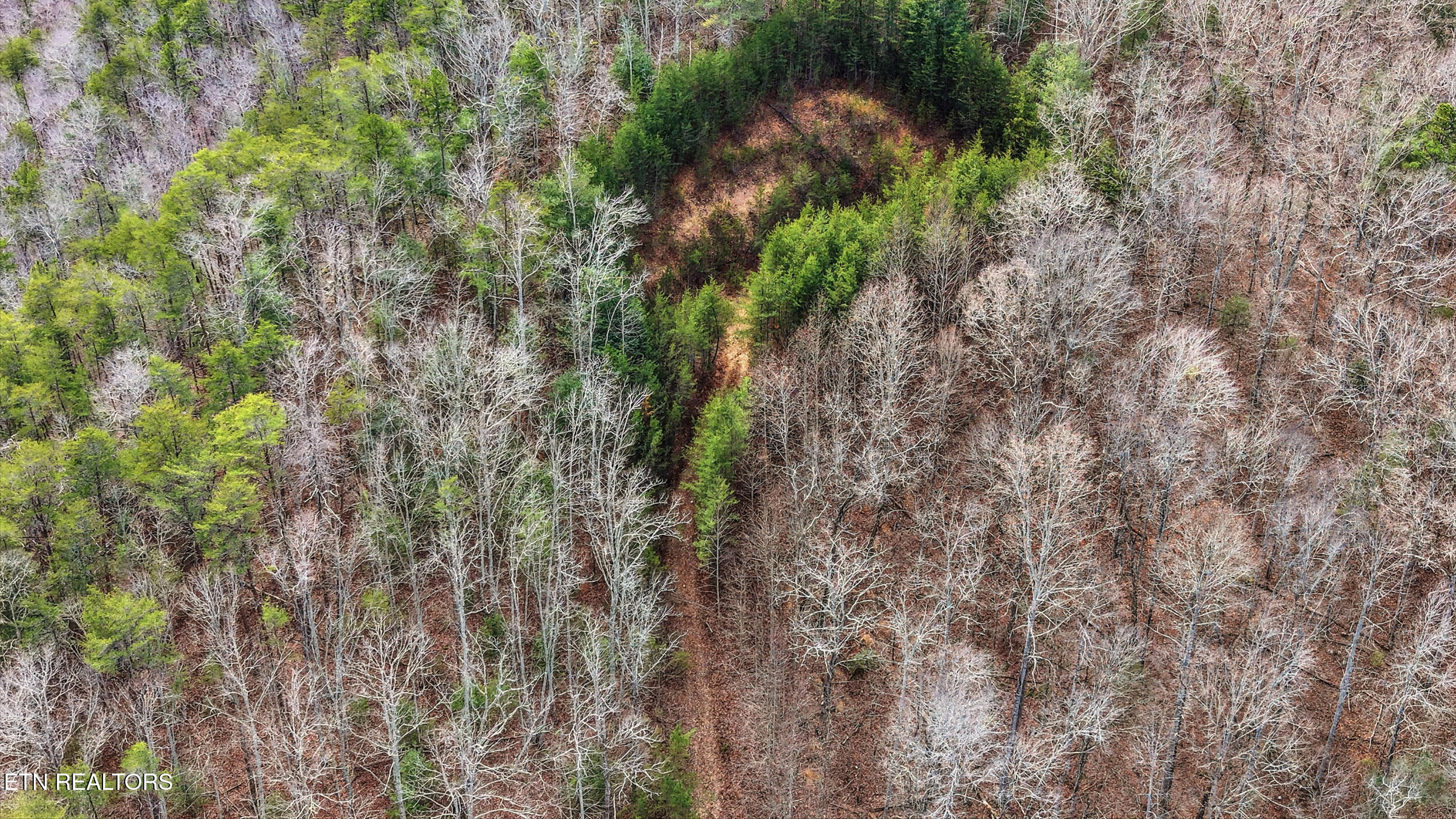 Steer Creek Road Tellico Plains TN 37385