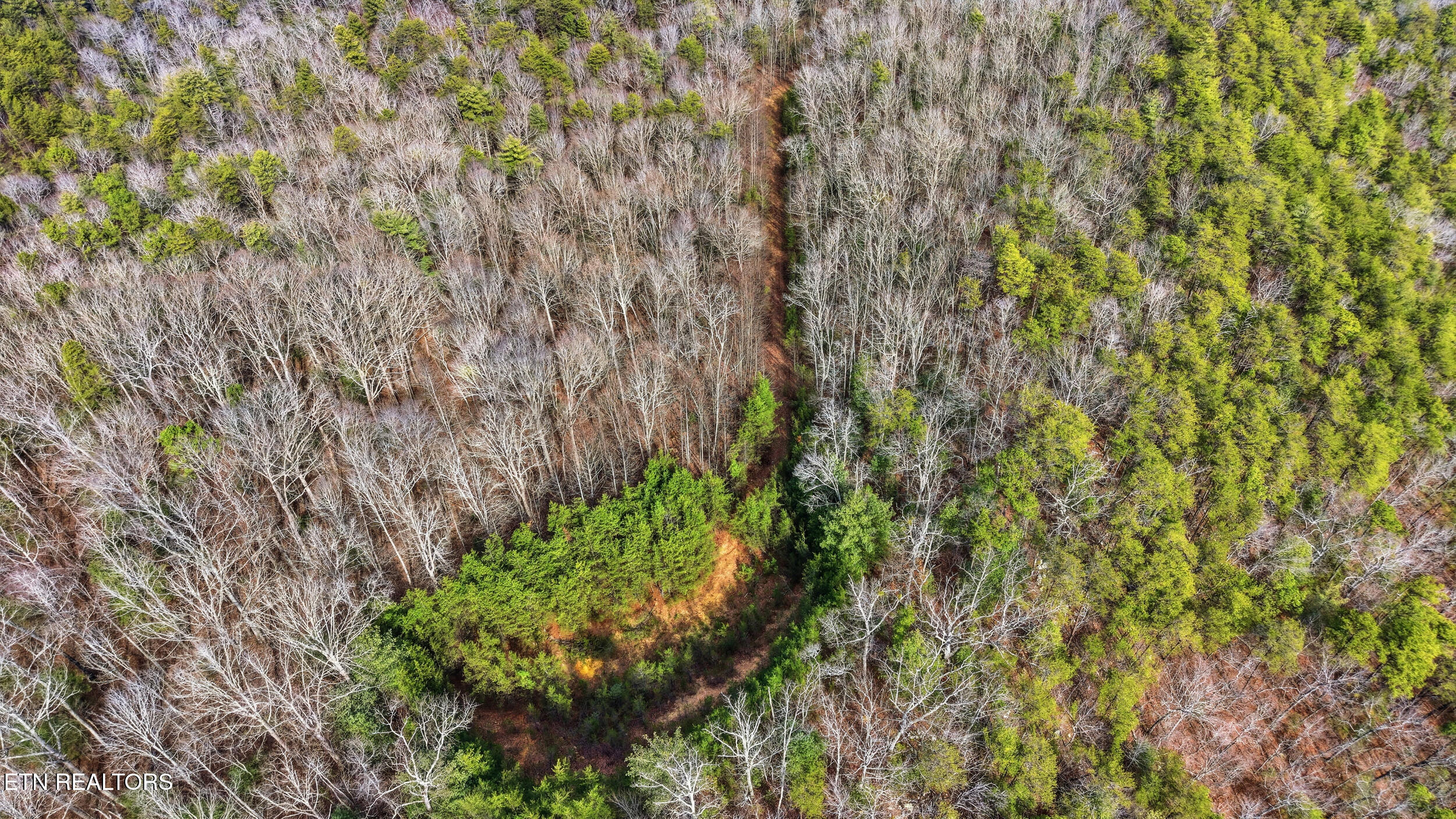 Steer Creek Road Tellico Plains TN 37385