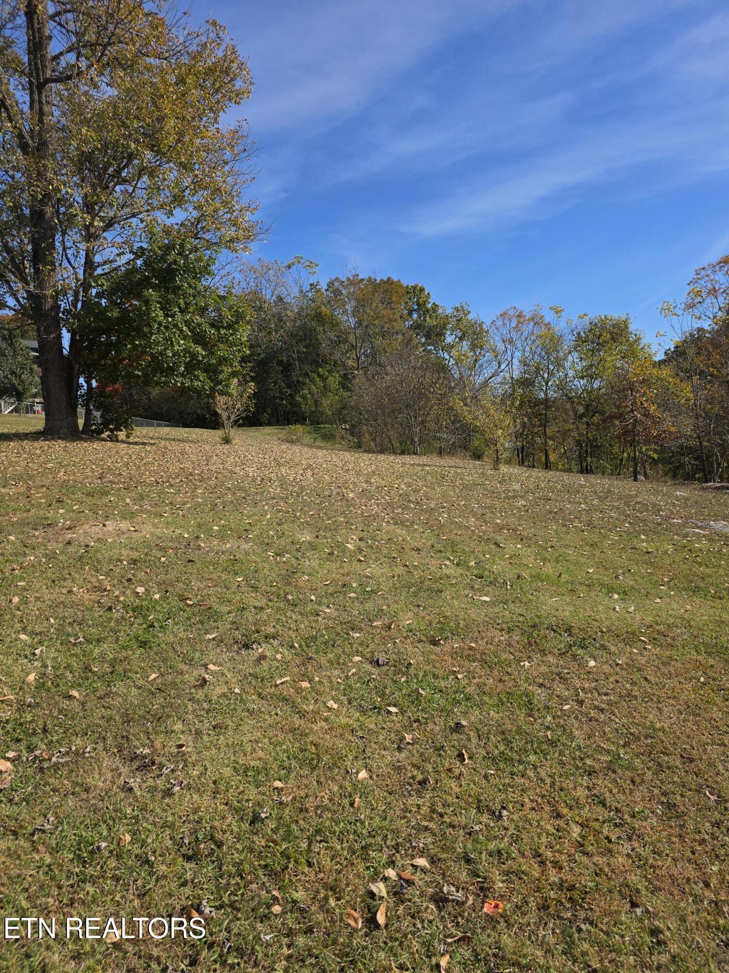 Earnhardt Lane Lafollette TN 37766