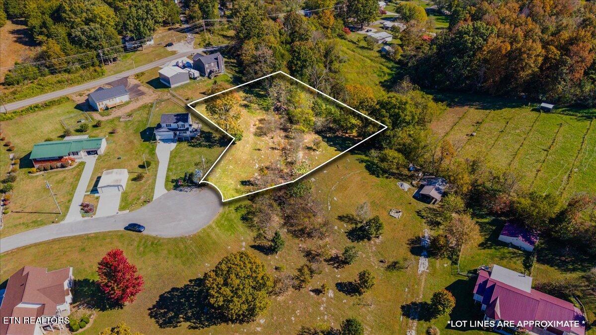 Earnhardt Lane Lafollette TN 37766