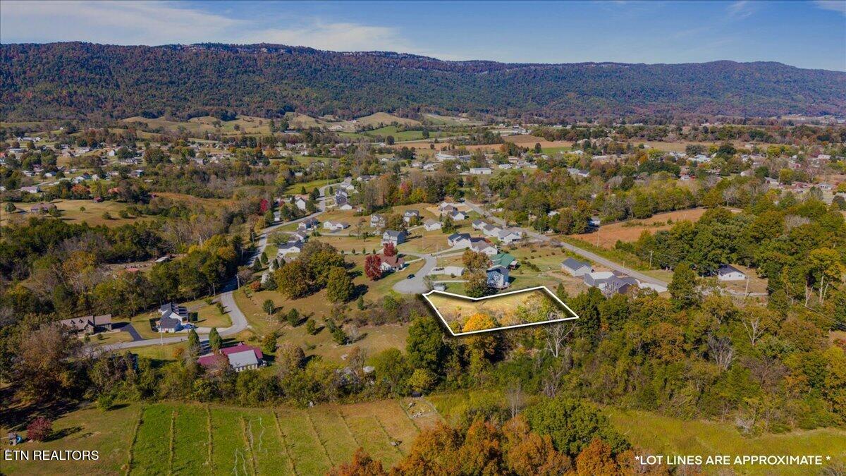Earnhardt Lane Lafollette TN 37766
