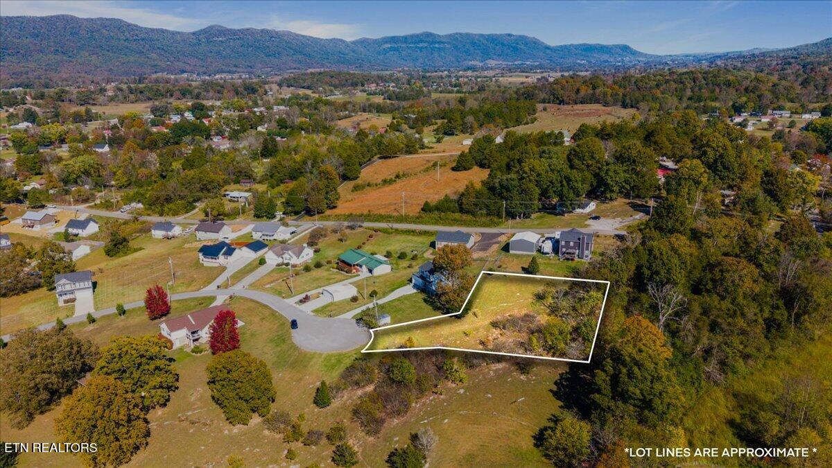 Earnhardt Lane Lafollette TN 37766