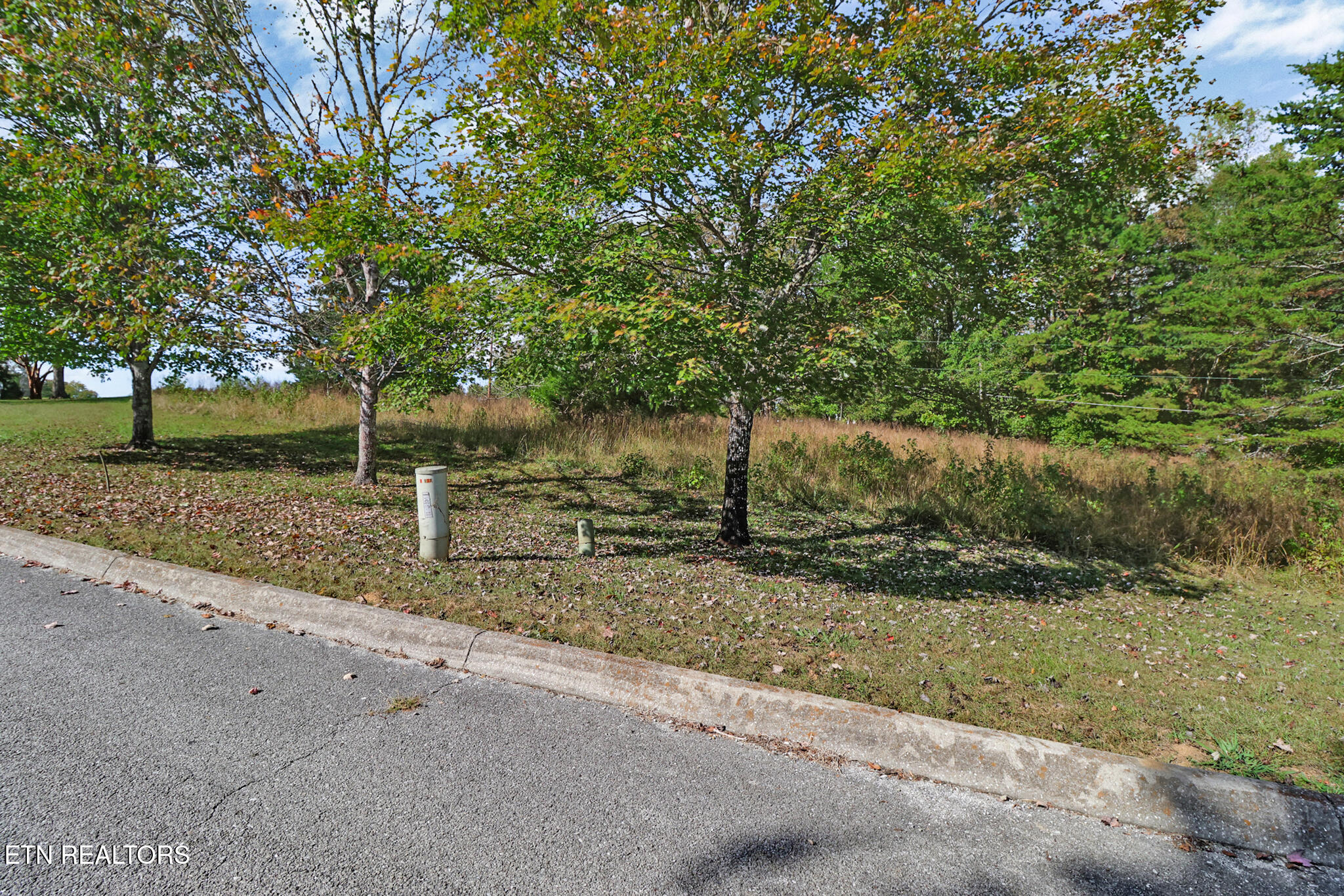 Lot 33 Indigo Bunting Drive Harriman TN 37748