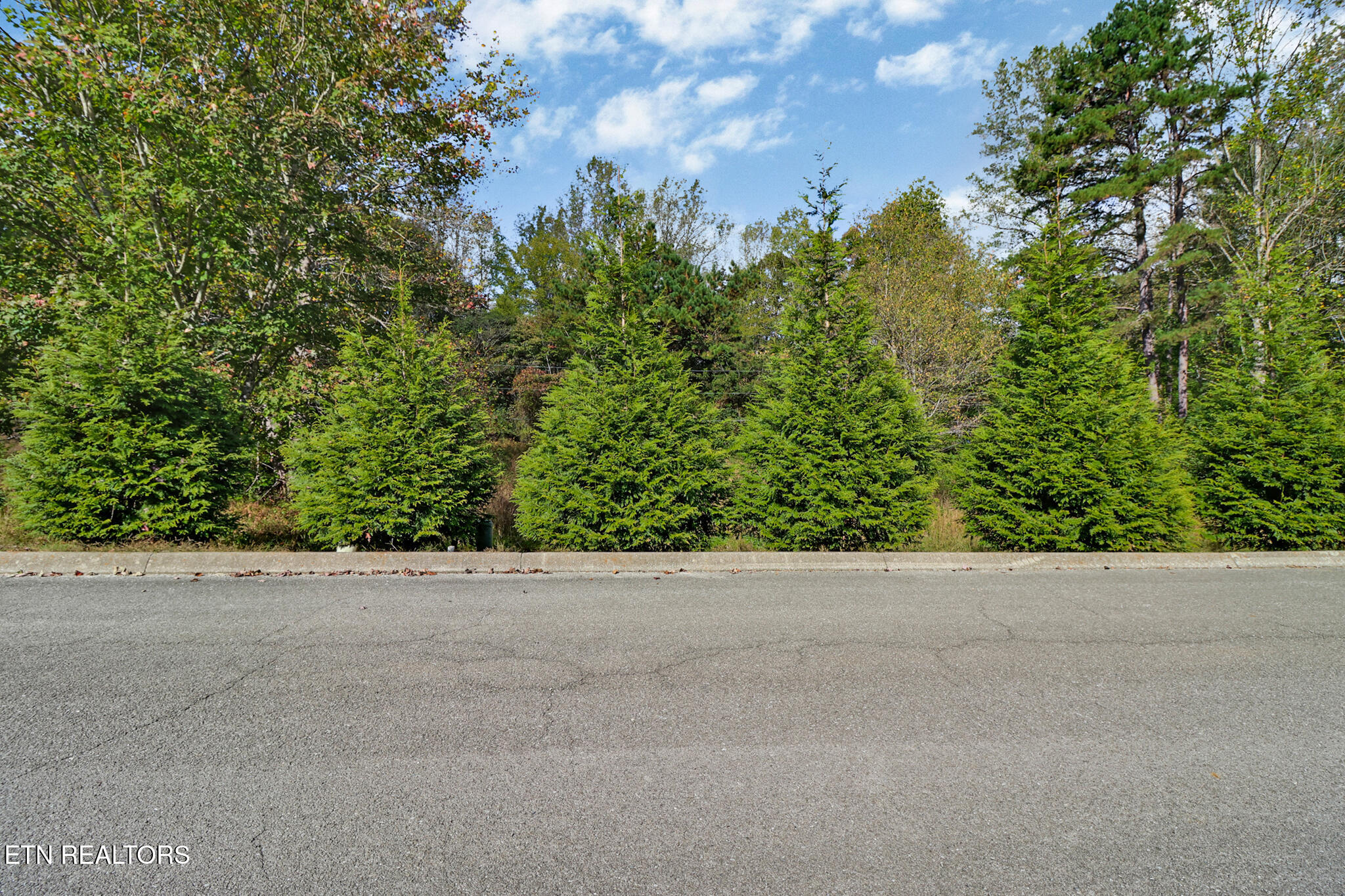 Lot 33 Indigo Bunting Drive Harriman TN 37748