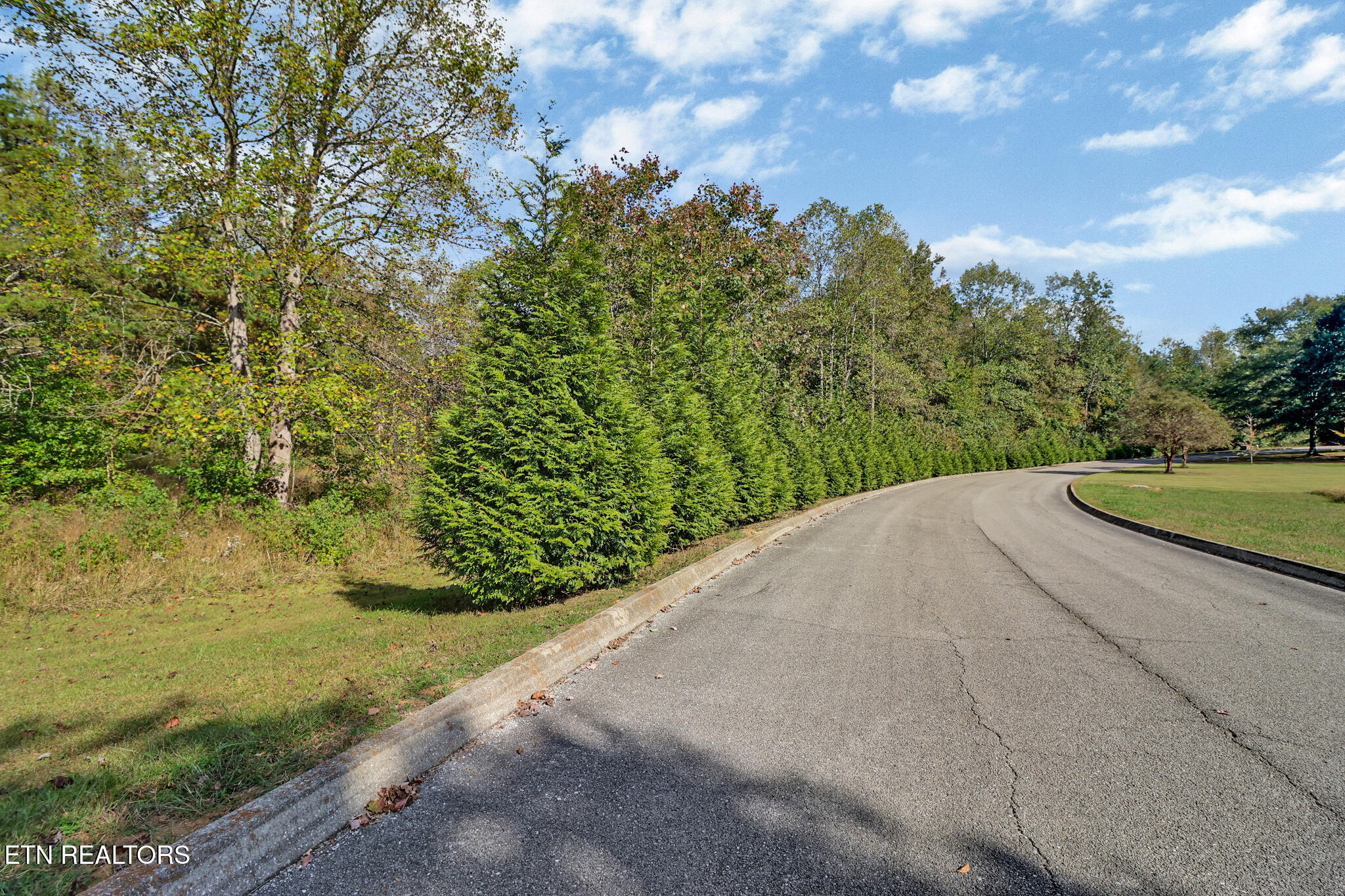 Lot 33 Indigo Bunting Drive Harriman TN 37748