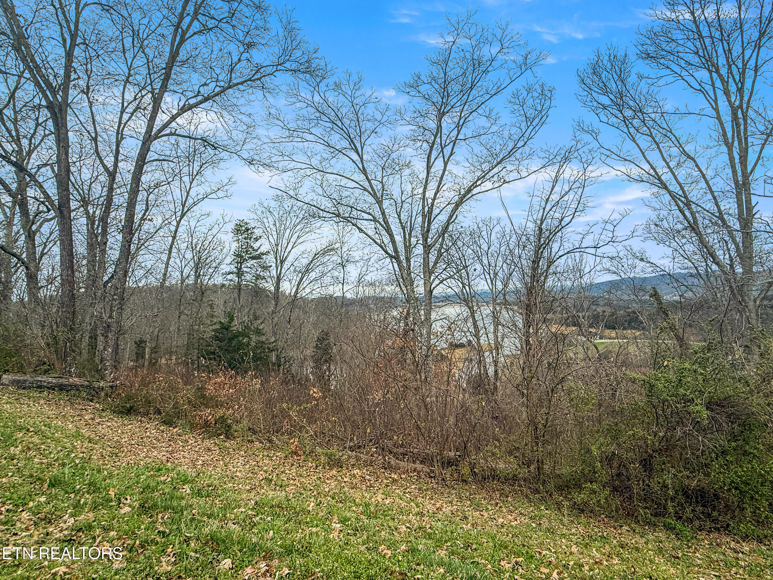 2025 Turner Landing Road Russellville TN 37860